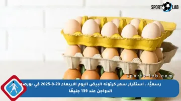 رسميًا.. استقرار سعر كرتونة البيض اليوم الأربعاء 20-8-2025 في بورصة الدواجن عند 139 جنيهًا